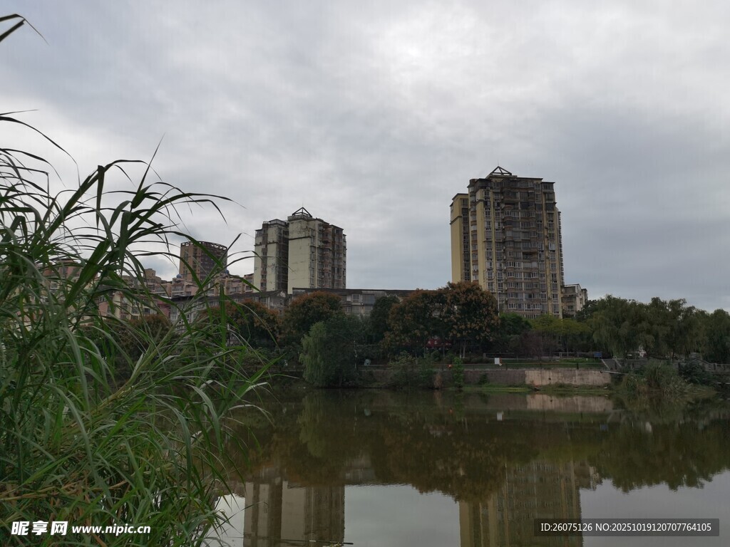 湖畔高楼与繁茂植被景观