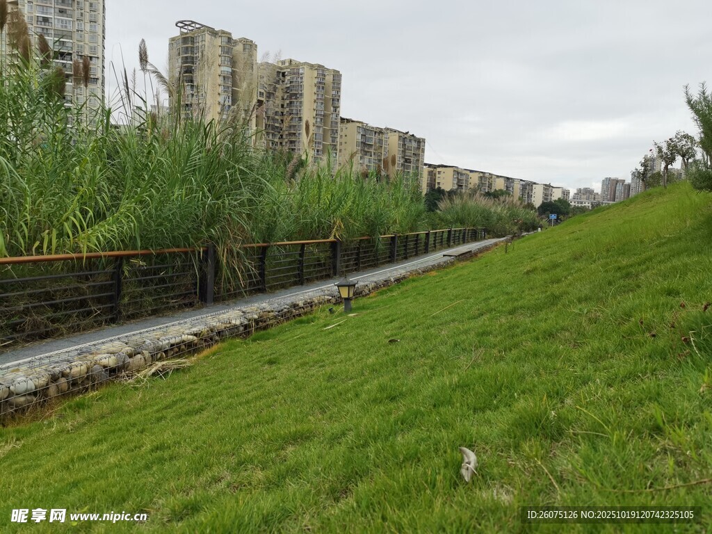 城郊草地旁的建筑景观