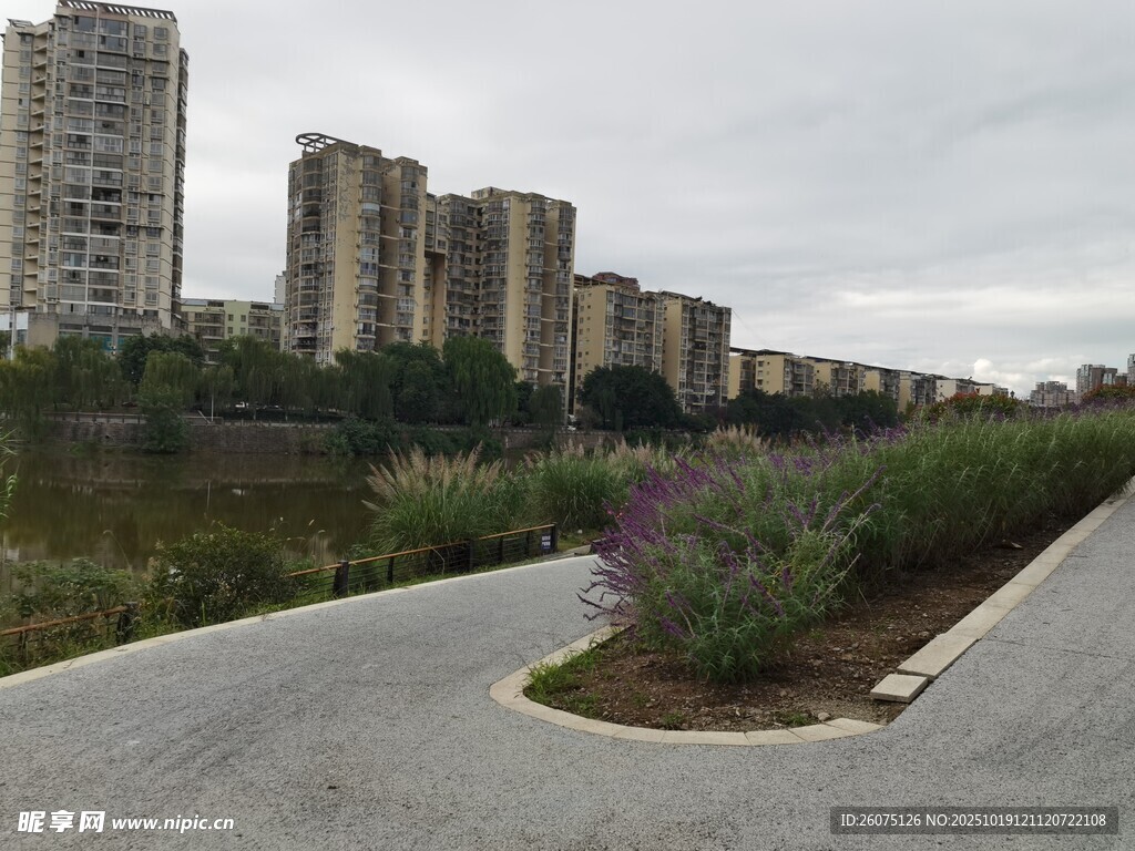 城市道路旁的绿植与建筑