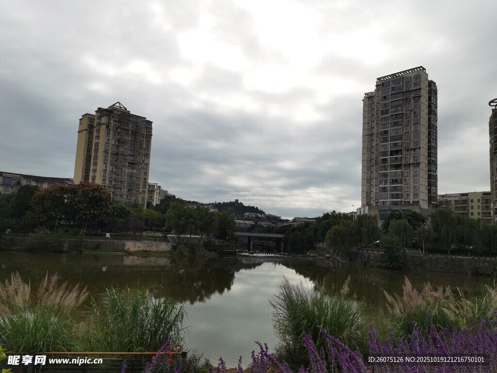 河畔高楼与烂漫花草景观