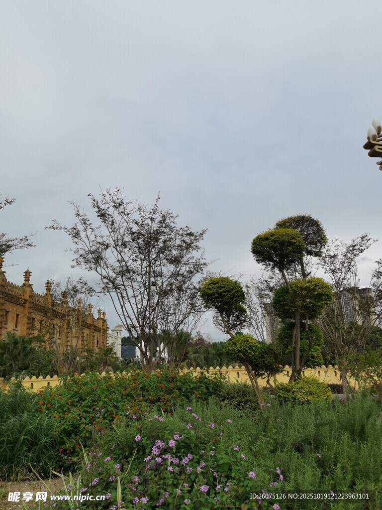 美丽花园景观
