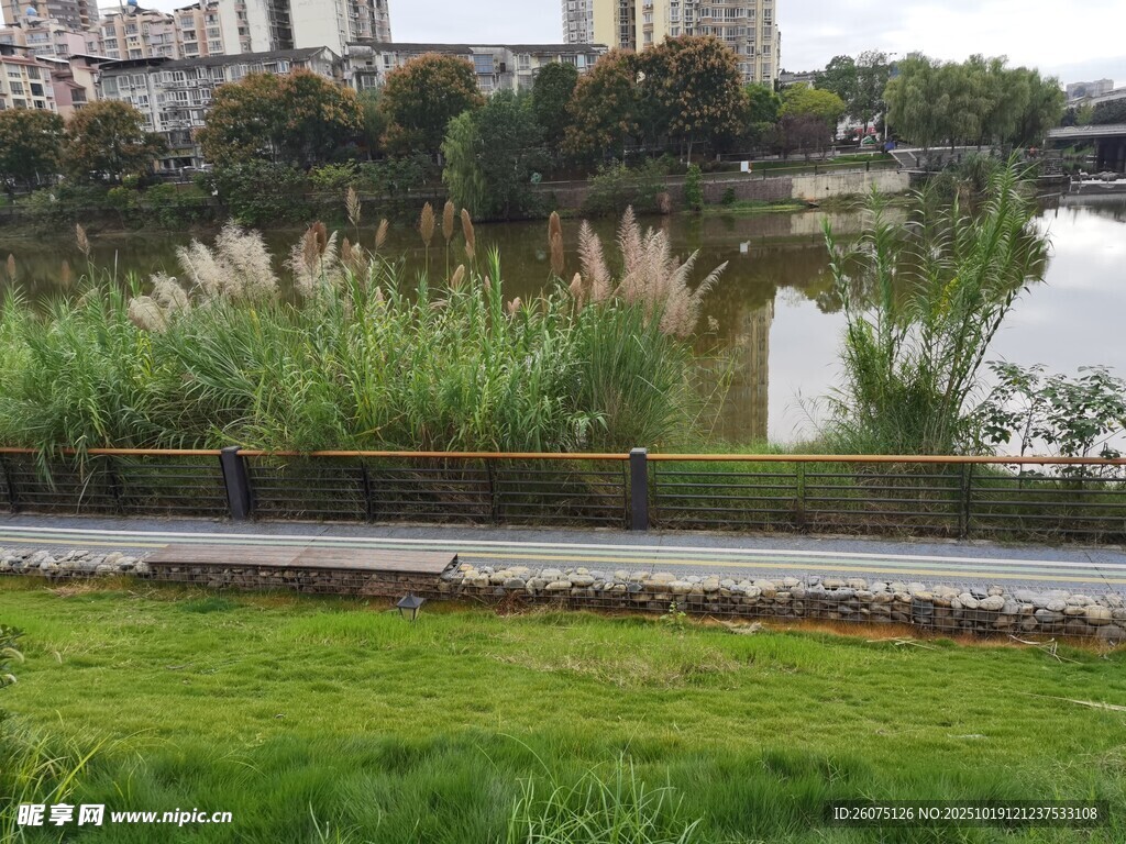 河畔绿植景观