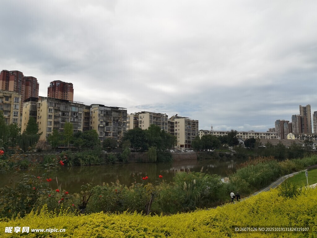 城市边的灿烂花海景观