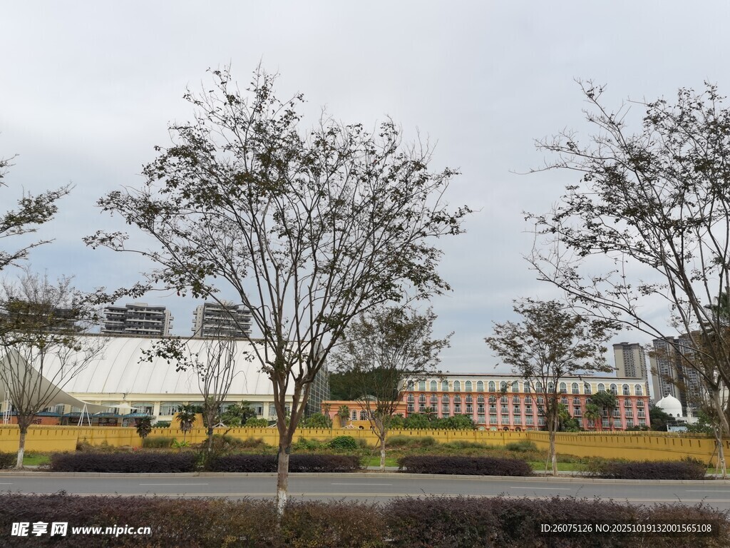户外树木与建筑景观