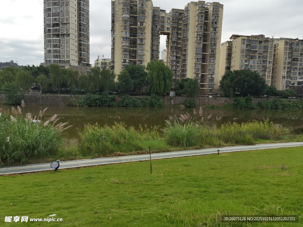 城市河畔绿地与高楼景观