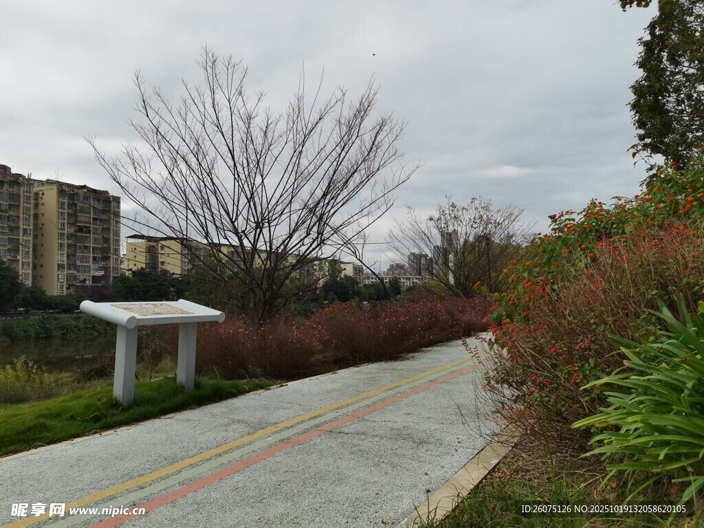 城郊静谧步道景观