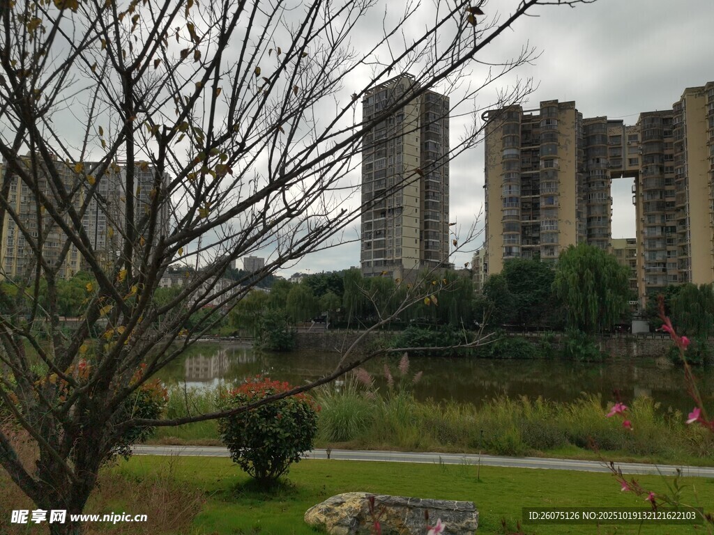 城市河畔的现代建筑群