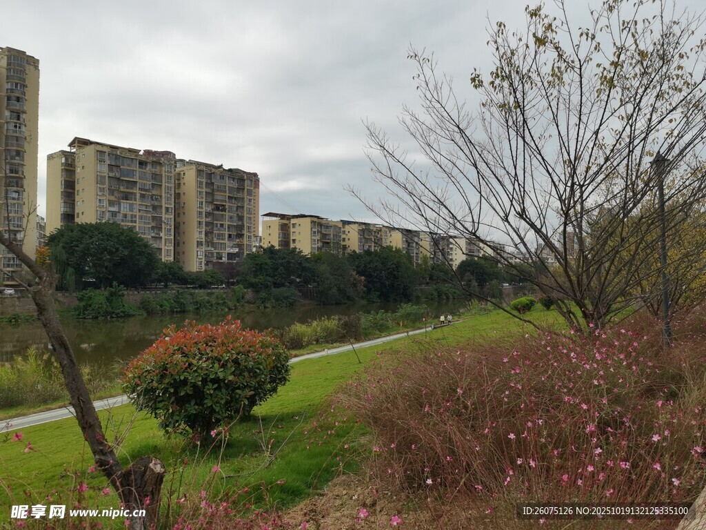 城郊住宅区的自然景观