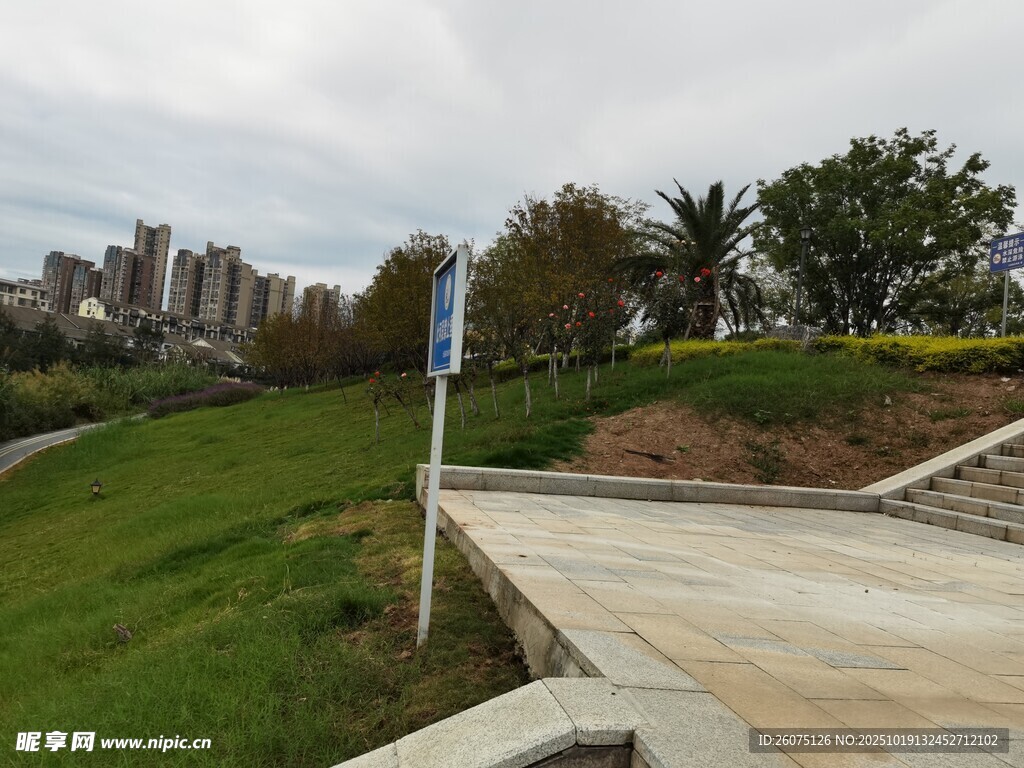 城市绿地旁的步道景观