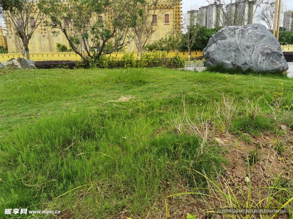 古老石景旁的翠绿草地