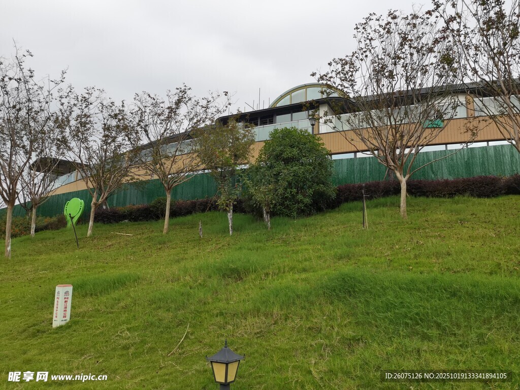 山坡上的绿色建筑景观