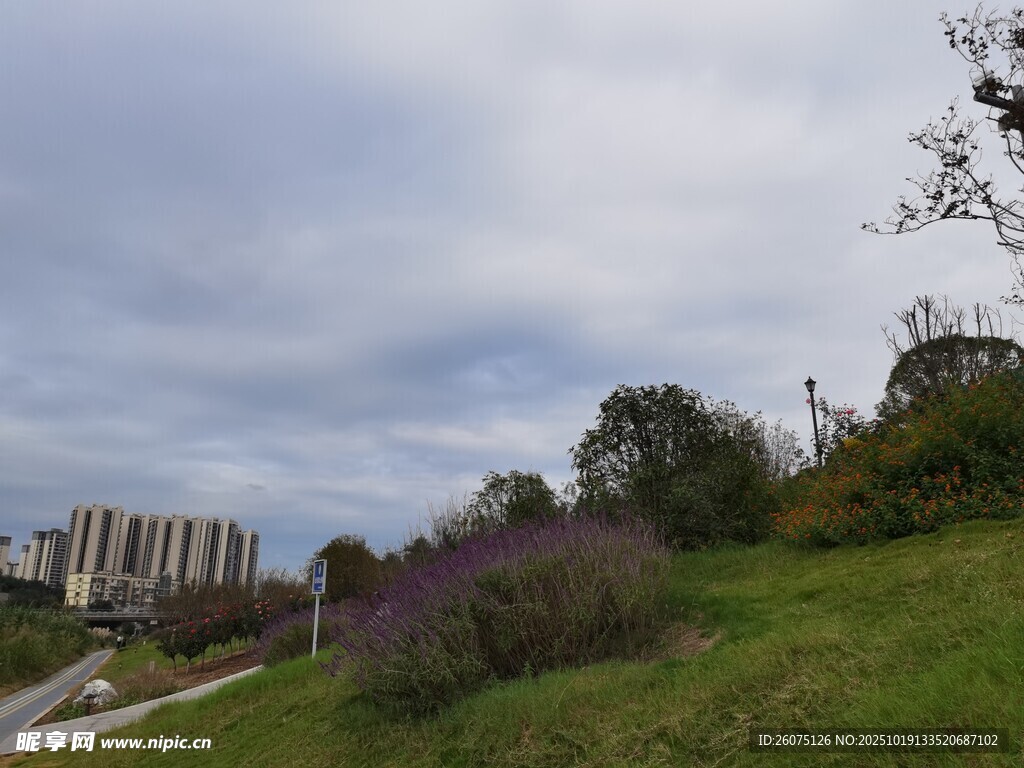 郊外草地与远处建筑风景