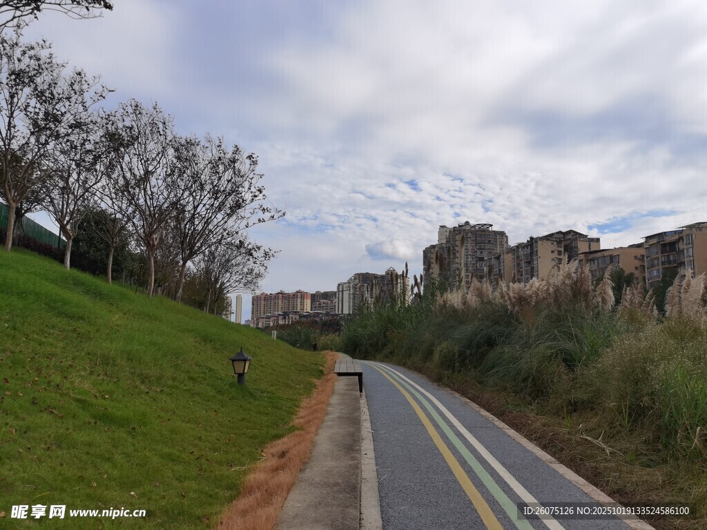 郊外蜿蜒公路与葱郁景致