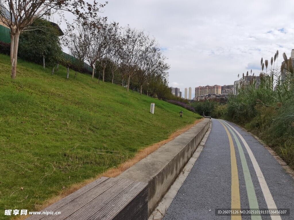 城市中的彩色骑行专用道路