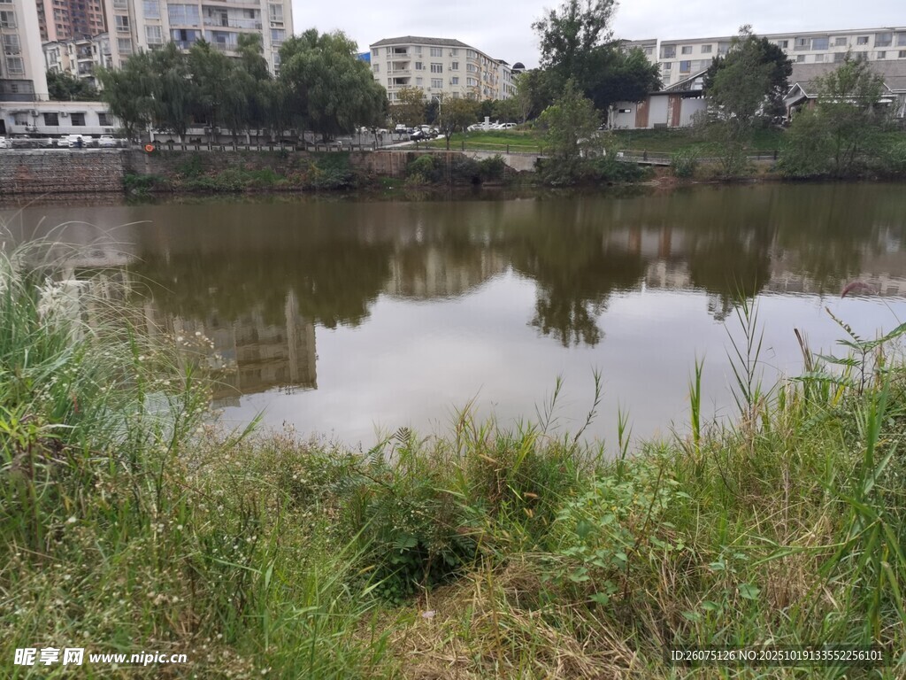 城市边宁静的水边景致