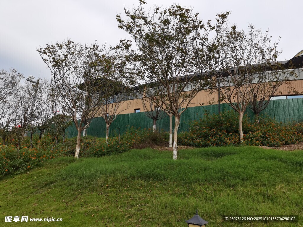 绿草旁的建筑与树木景观