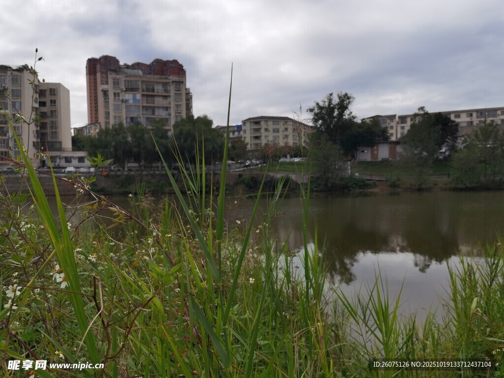 湖畔城市景观