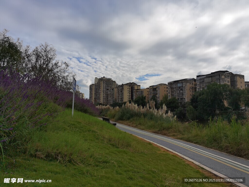 城郊小路旁的住宅区景色