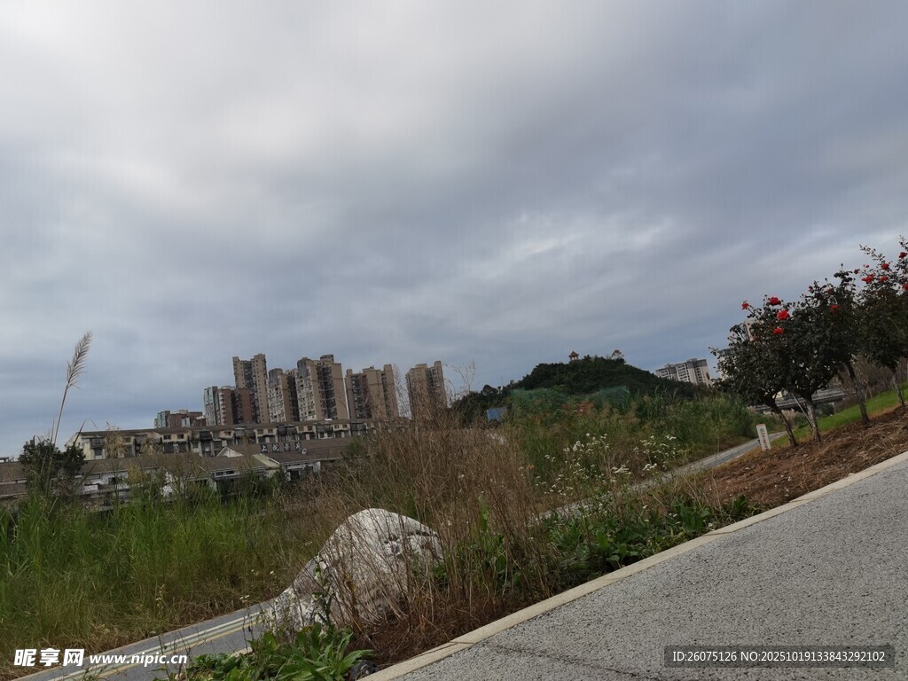 城郊道路旁的建筑与自然景观
