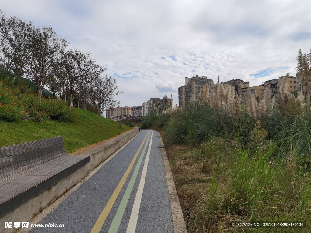 乡村公路旁的自然景致