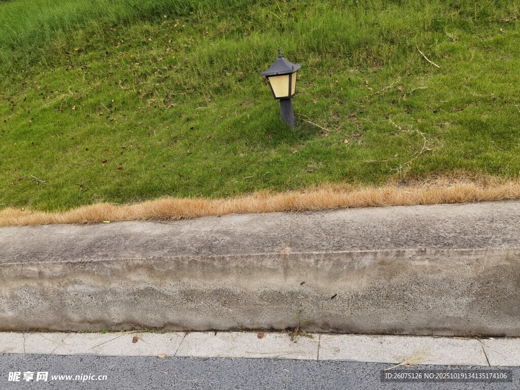路边草地中的景观小灯