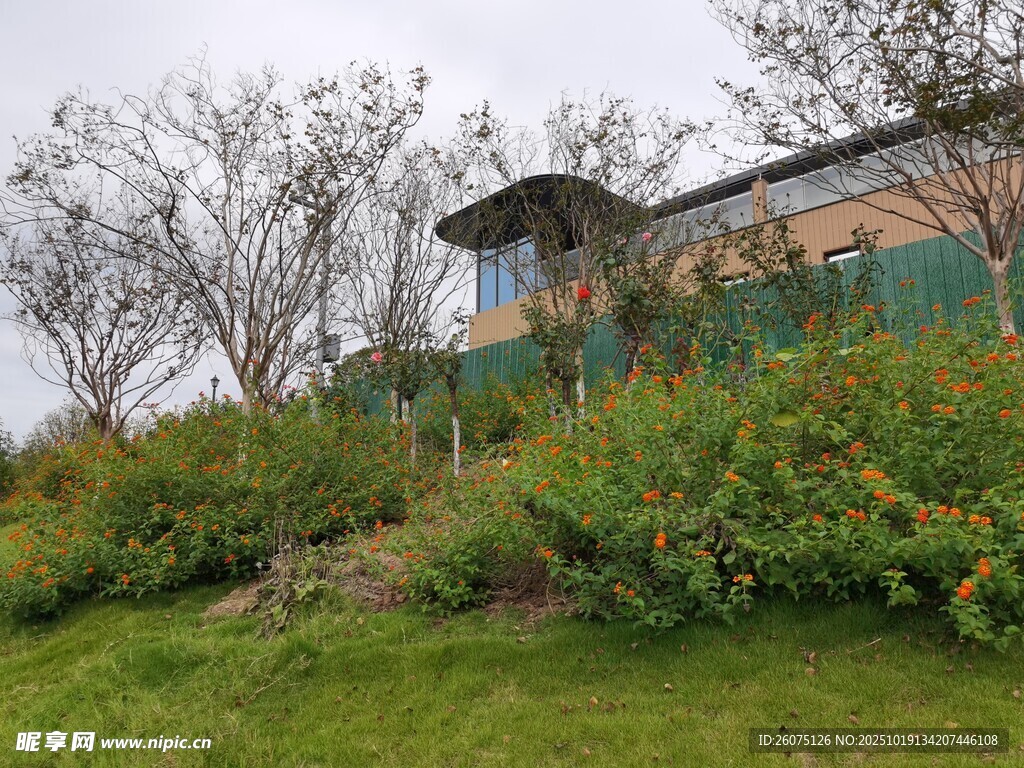 山坡上的小屋与绿植景观