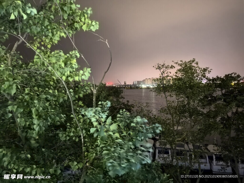 暴风雨前的绿植景观