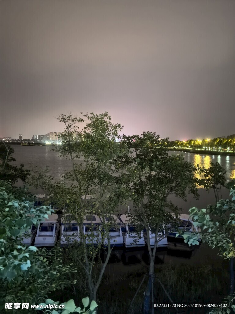 夜幕下的河畔与繁茂绿植