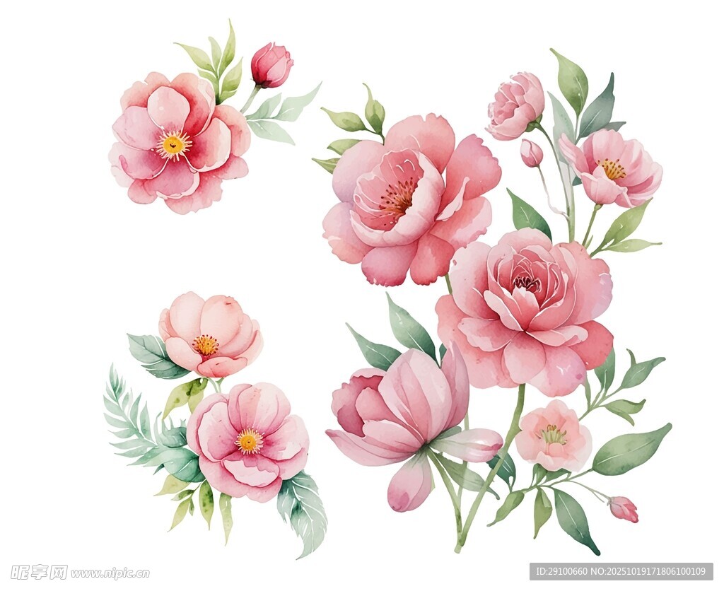 水彩粉色花卉图案