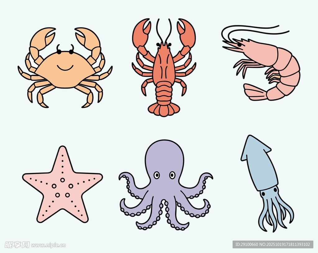 海洋生物插画 