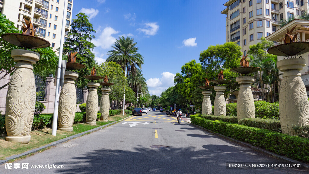 城市林荫大道景观
