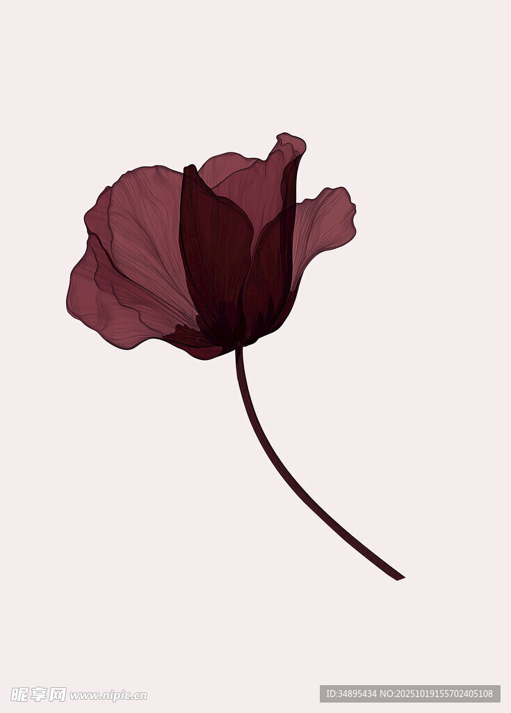 手绘花
