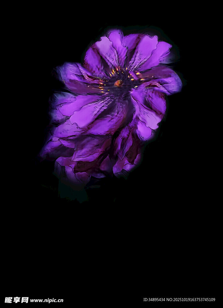 紫色花朵 定位花