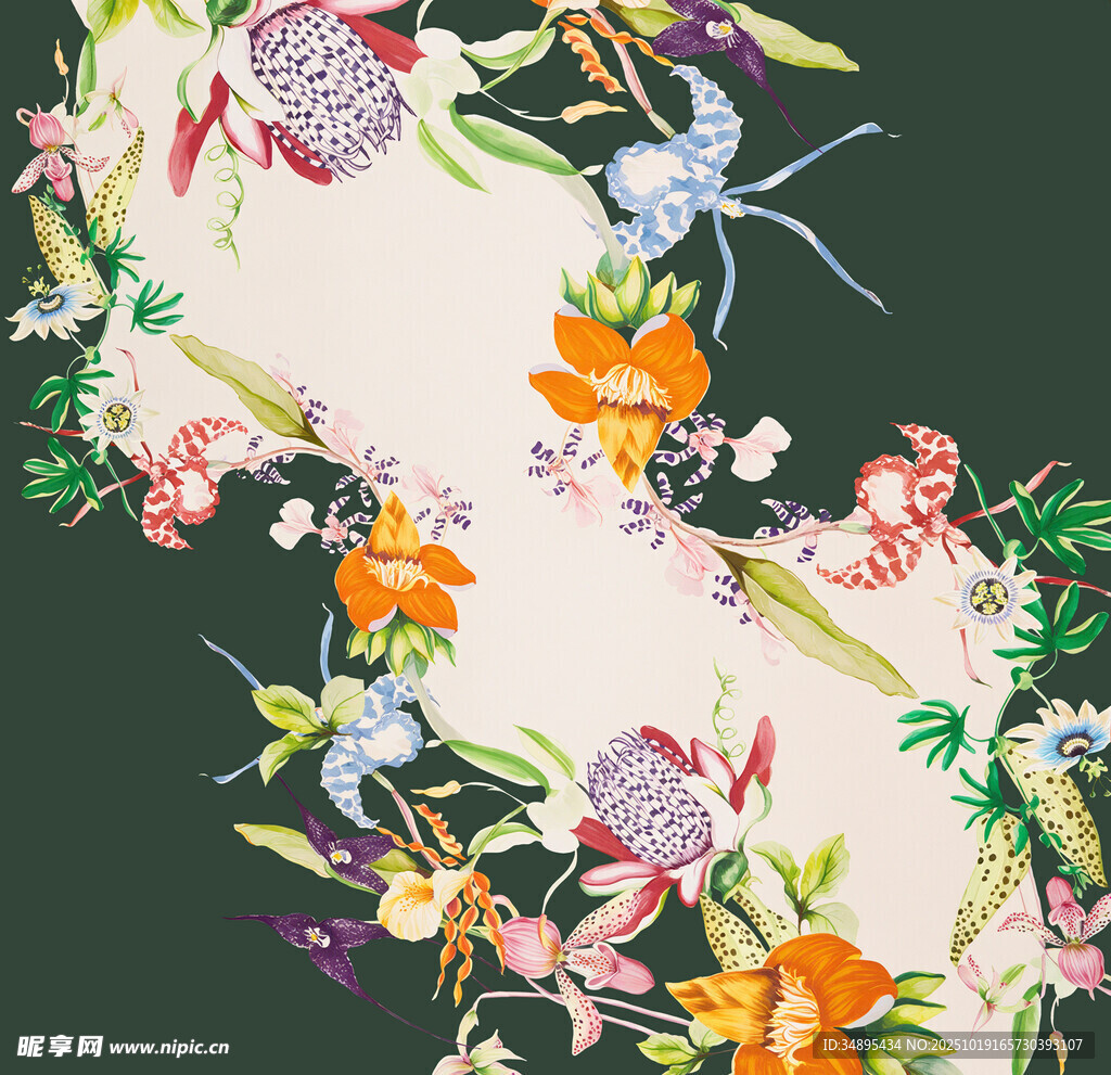 热带花  定位花
