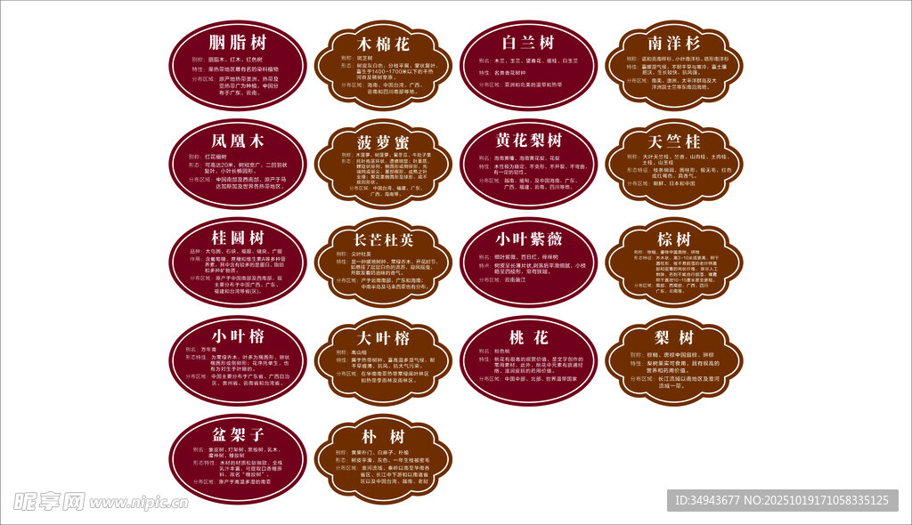 一组树木名称的展示图