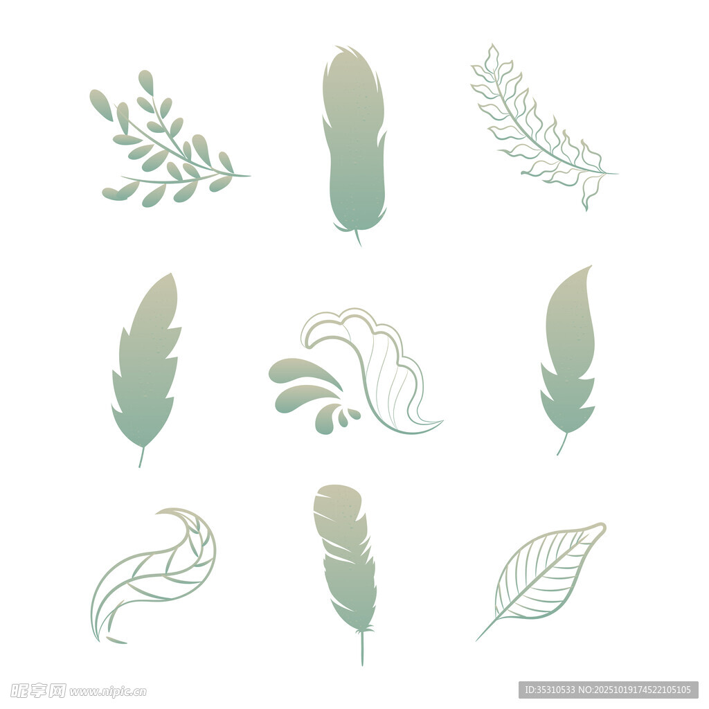 清新绿植羽毛图案