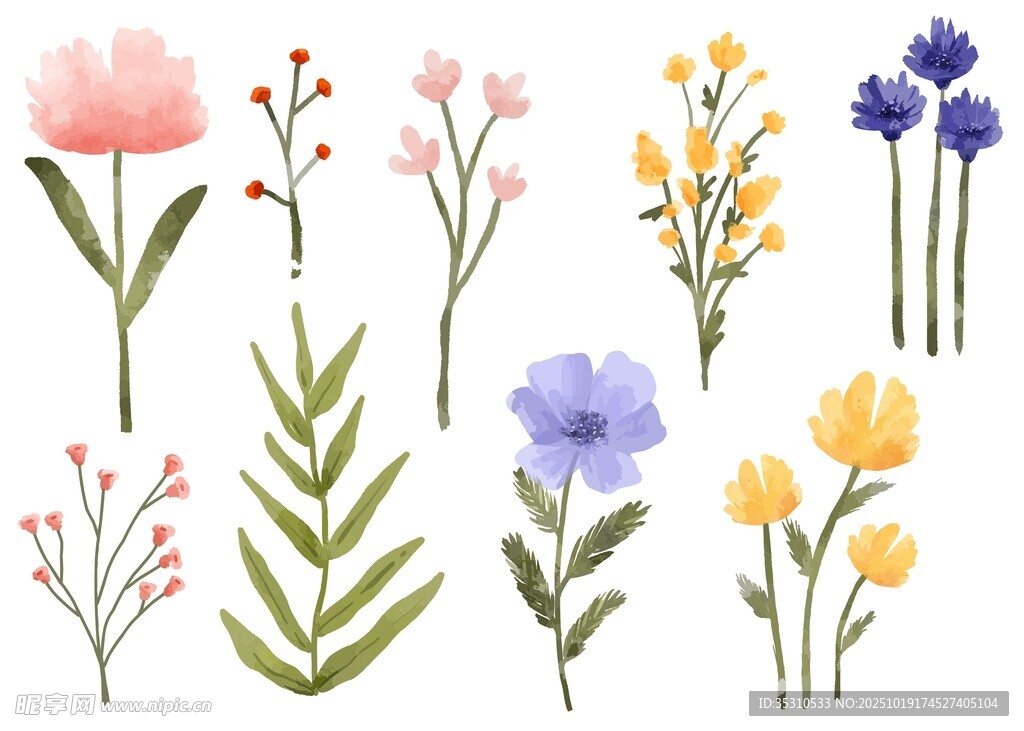 手绘花卉插画