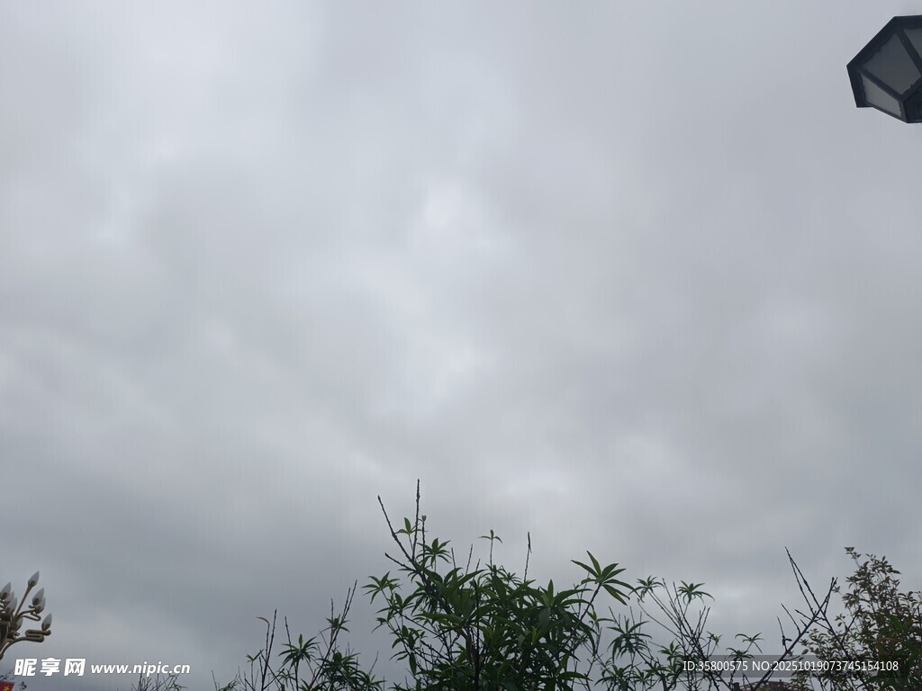 阴天中的风筝与绿植