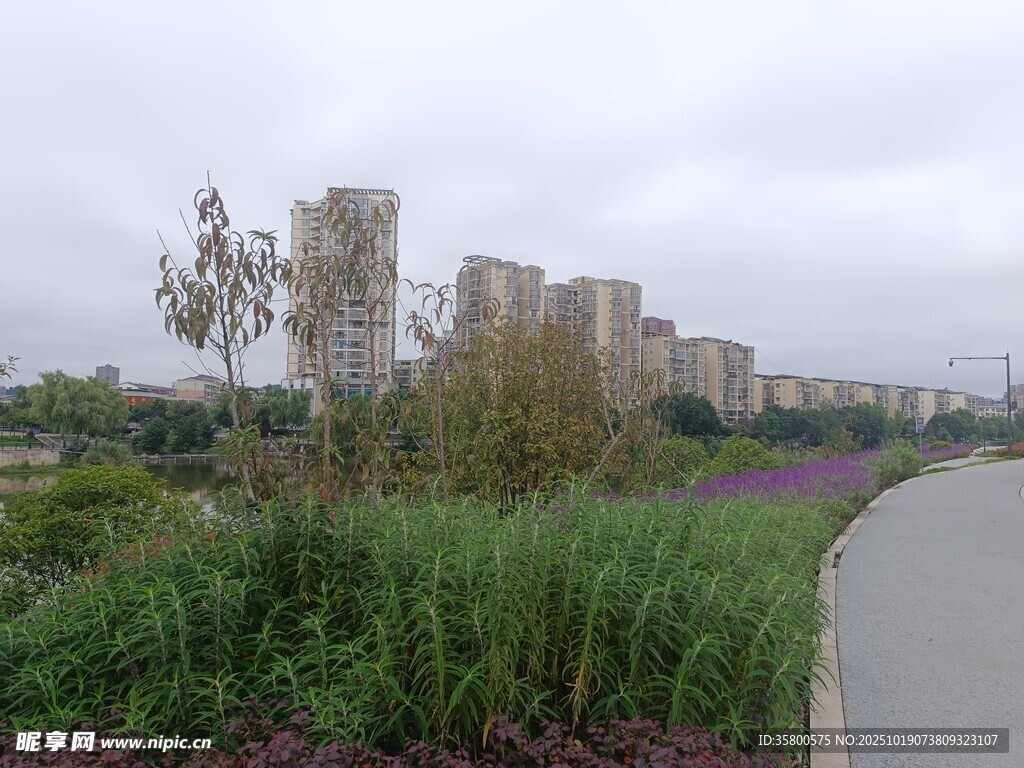 城郊路旁的绿植与建筑群