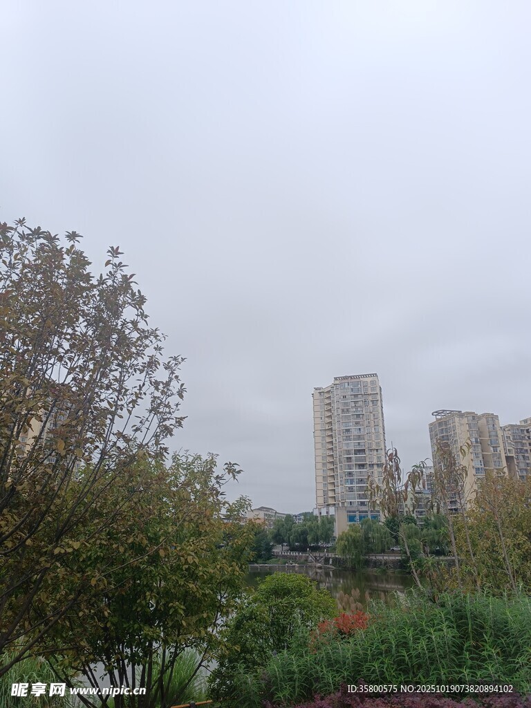 城市中的绿植与高楼景观