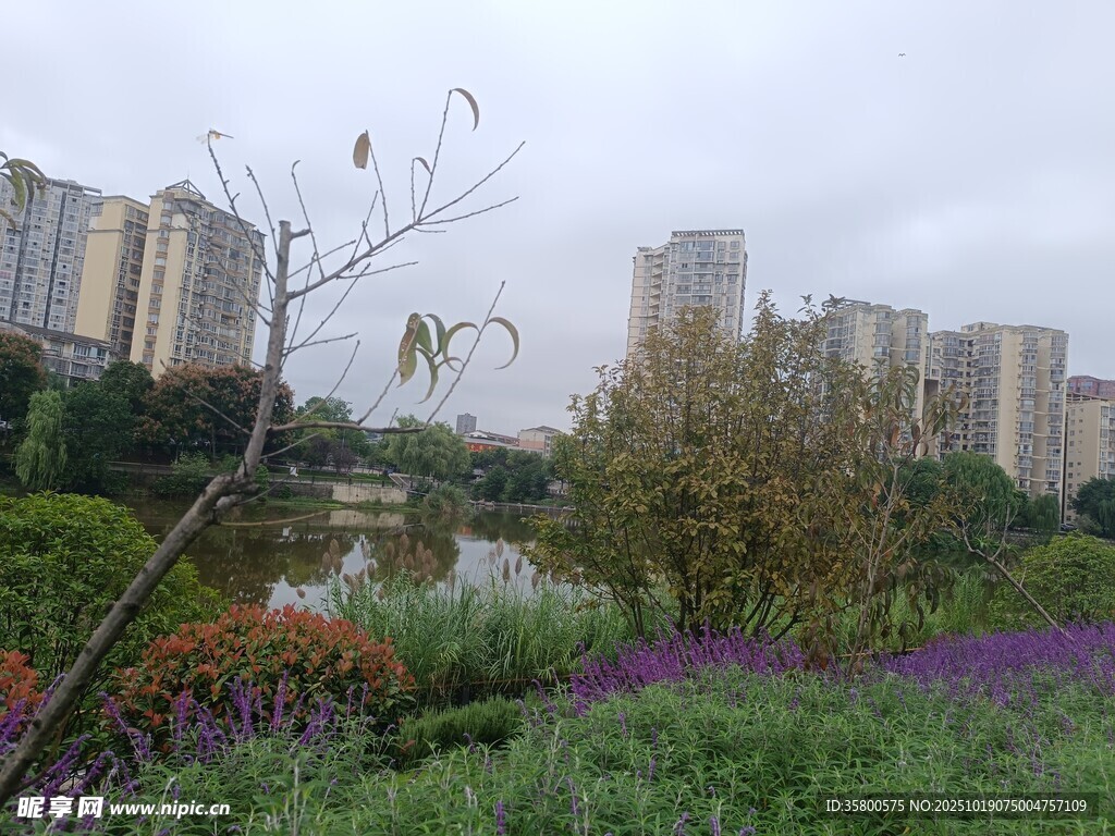 城市中的自然景观花园