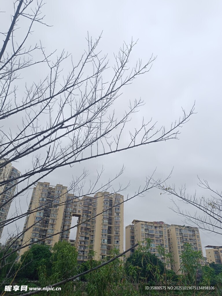 阴天里的林立高楼