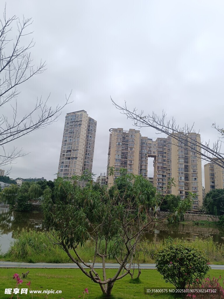 城市住宅区旁的绿化景观