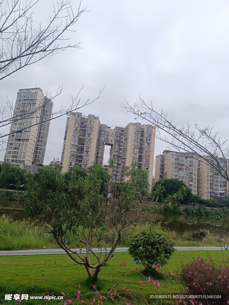 城市住宅区旁的园林景观