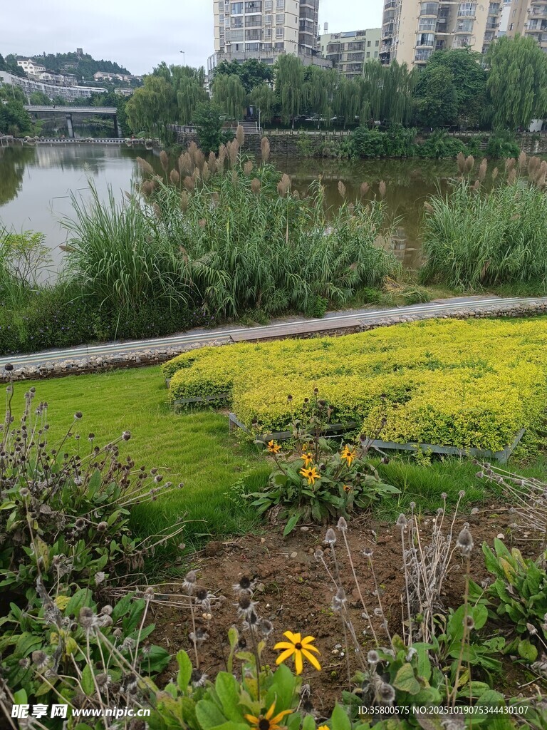 城市河畔多彩绿植景观