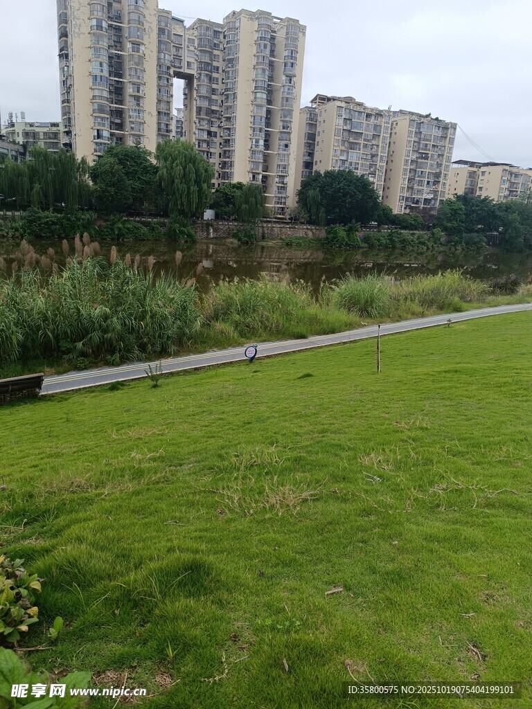 城市河畔绿地景观