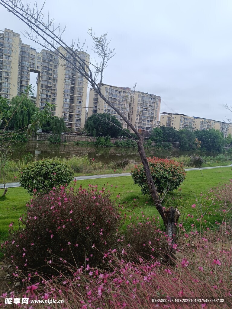 城市公园中的花草与建筑景观