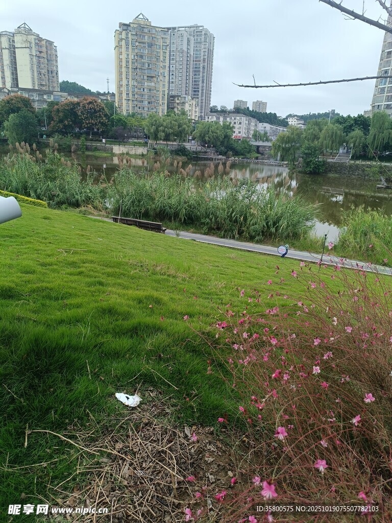 城市中的绿地与花卉景观