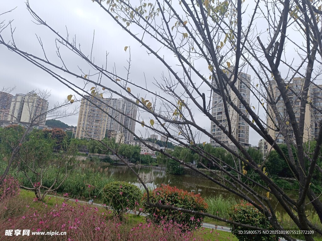 城市园林景观远景