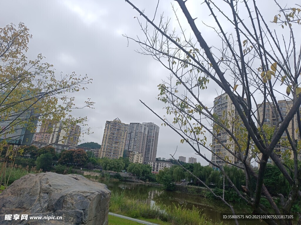 城市公园中的自然与建筑景观
